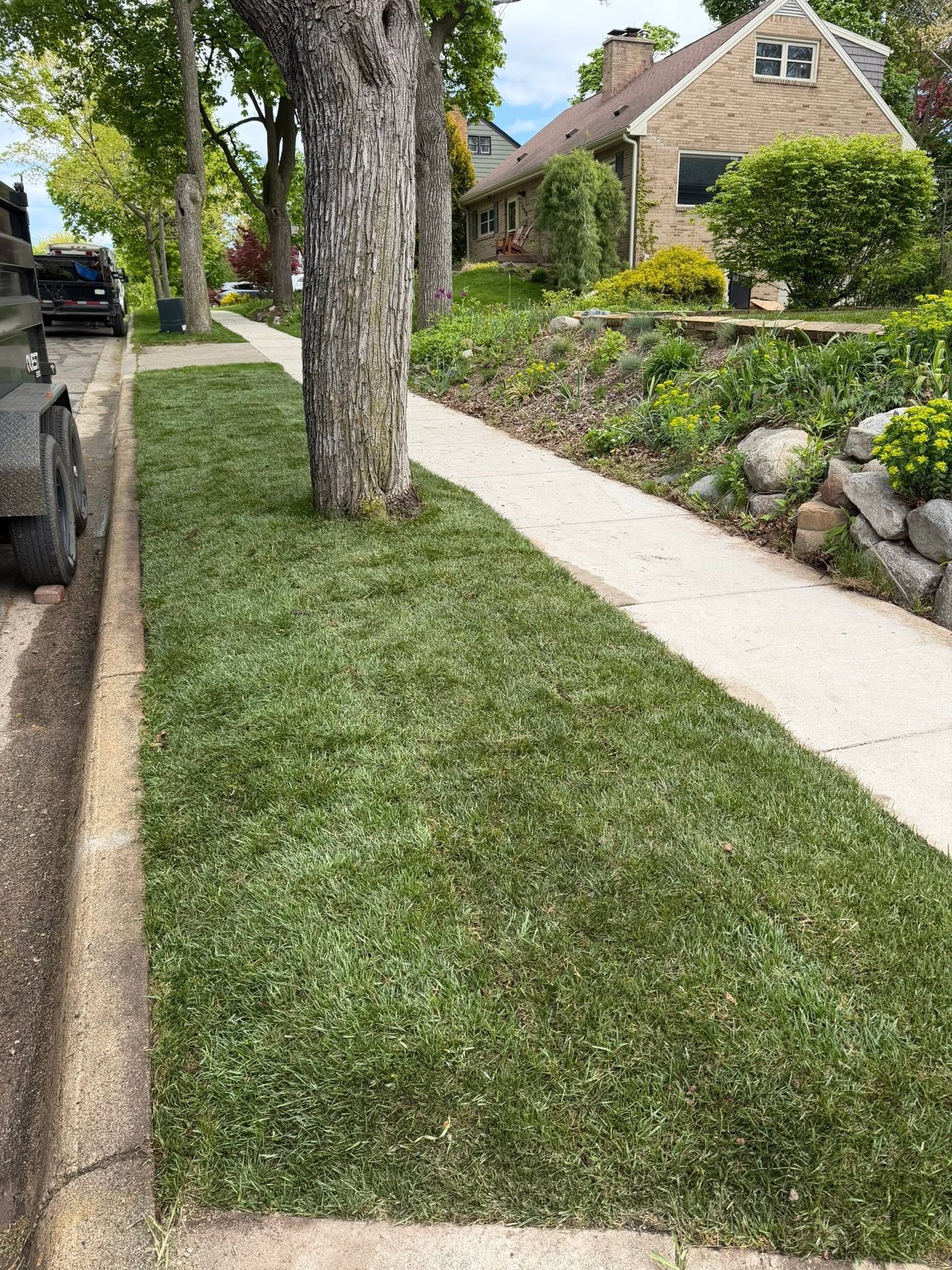 Sidewalk beside a house with a tree, green lawn, and stone garden border on a sunny day