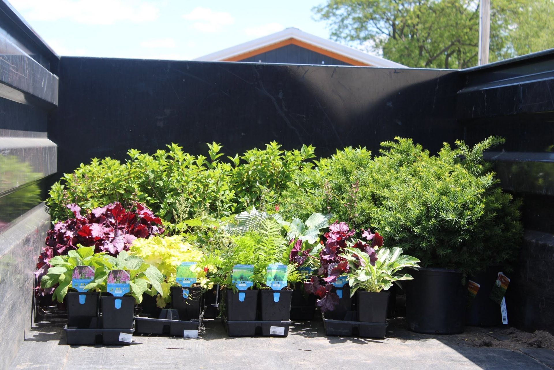 Rows of potted flowers and green shrubs on a patio against a black fence