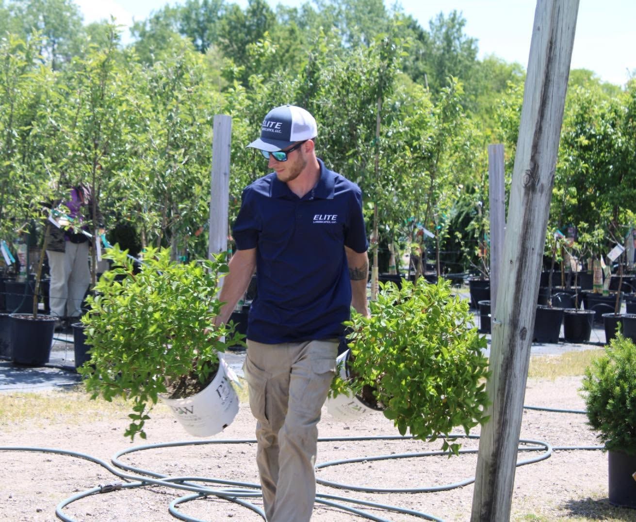 Man carrying potted plants in a nursery, wearing a navy cap and shirt, with trees and hoses in the background