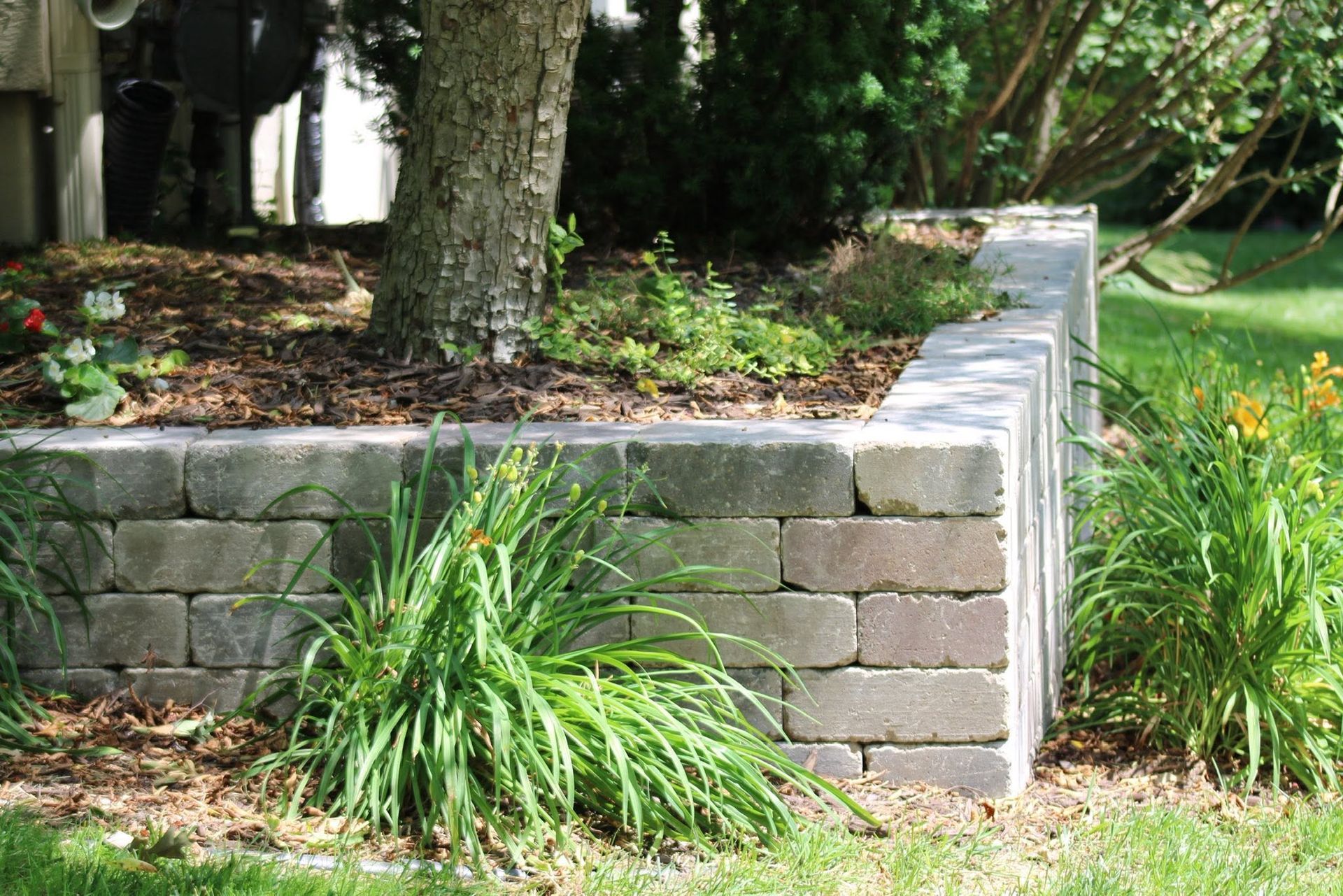Stone retaining wall in a landscaped garden with trees and green plants