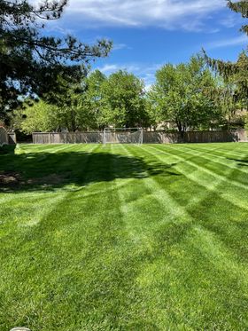 Freshly mowed green lawn with striped patterns beside a wooded tree line