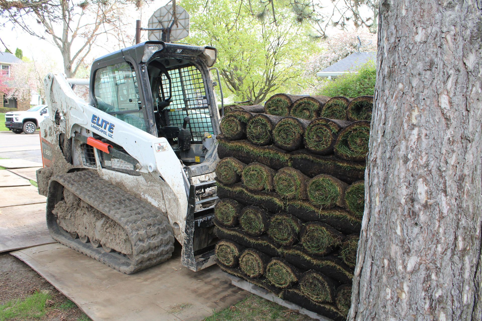 Skid steer loader stacking rolls of sod beside a tree in a residential yard