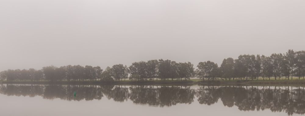 A Hazy Lakeside Tree Line Mirrored in Still Water Under a Pale Sky — Terrace Locksmiths in Raymond Terrace, NSW