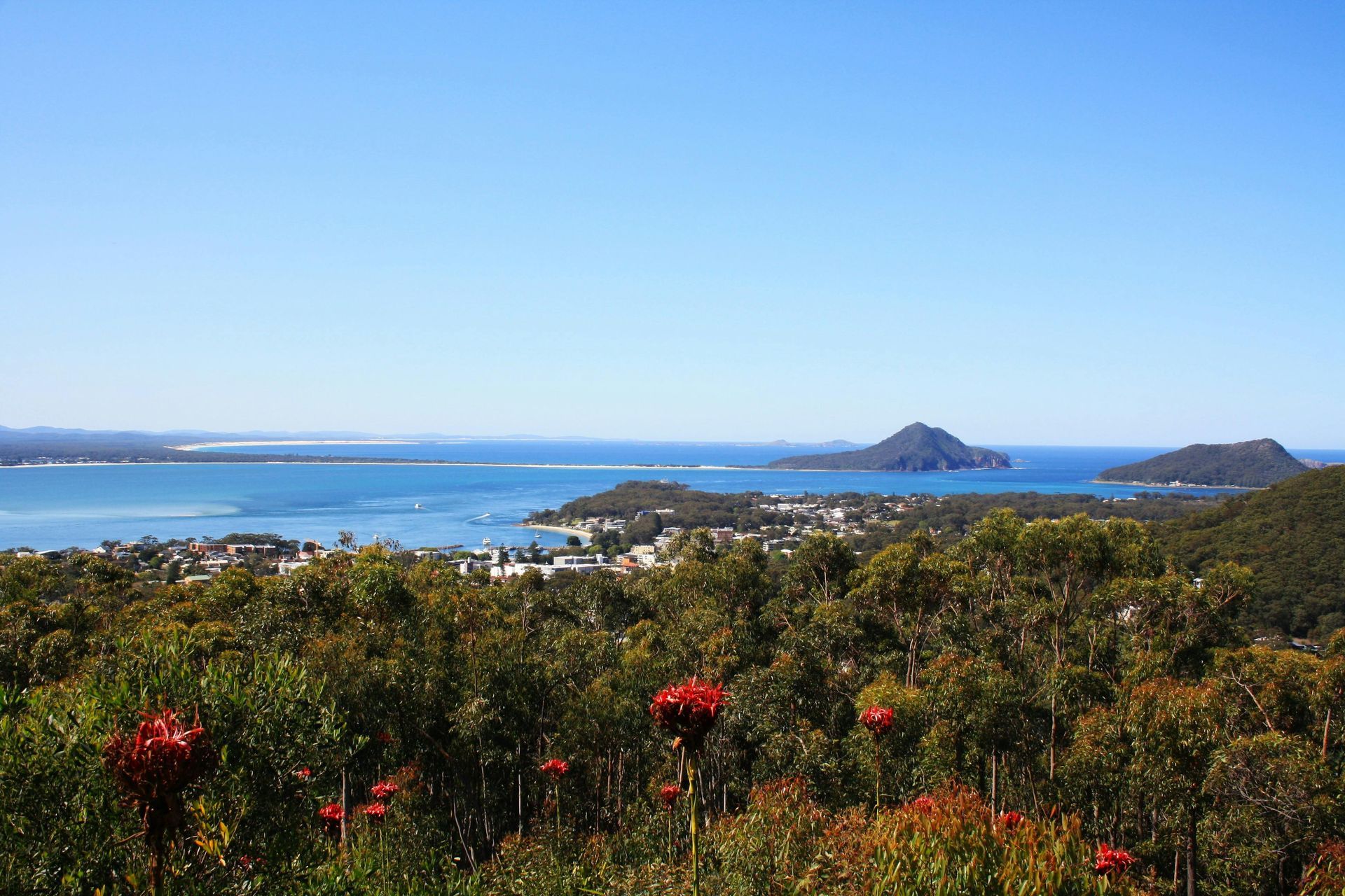 Coastal Landscape with Blue Sea, Distant Islands, and Red Flowers — Terrace Locksmiths in Raymond Terrace, NSW