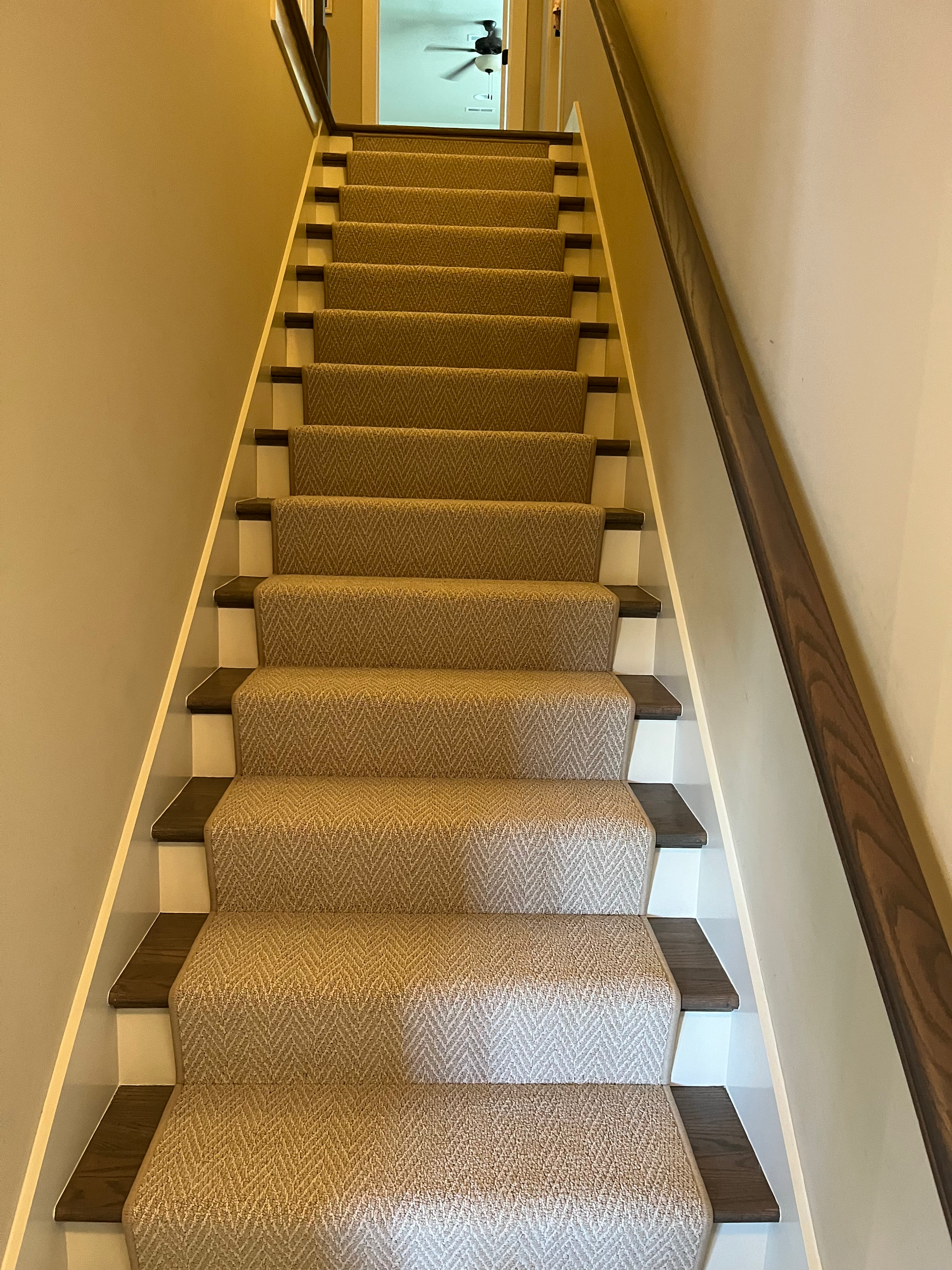 Carpeted staircase with white risers and dark wood accents, leading upwards to a doorway.