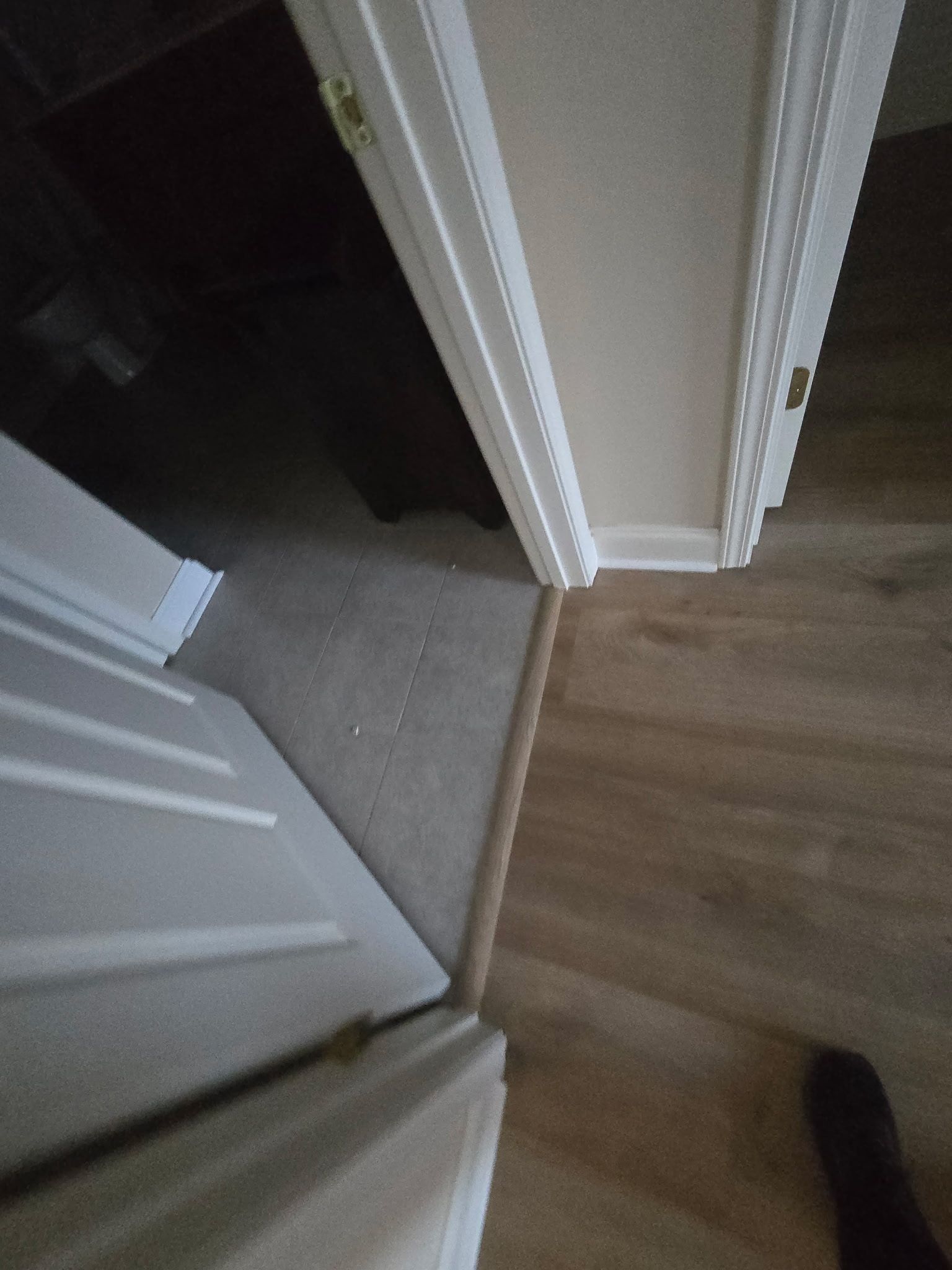 Doorway transition from light wood flooring to carpeted room. Door and frame are white.