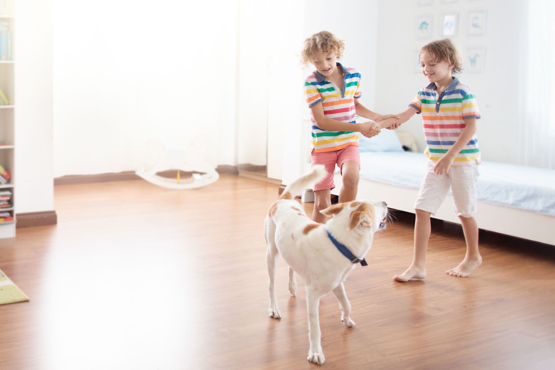 Two children playing with a dog in a bright living room