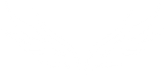 Wings of Hope Recovery LLC Logo