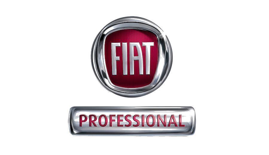 Logo Fiat Professional con emblema color marrone e dettagli cromati.