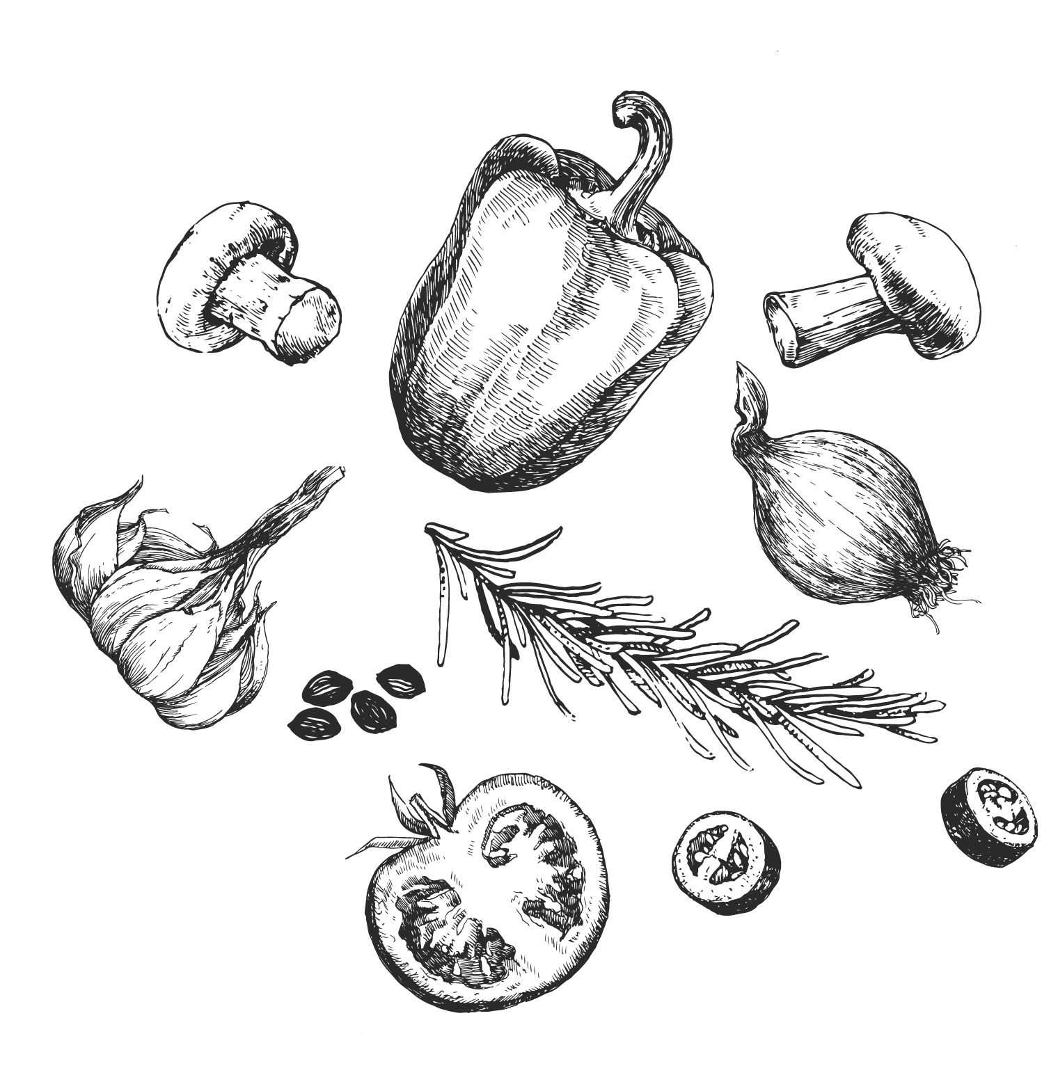 Handgezeichnetes Gemüse und Kräuter: Paprika, Pilze, Knoblauch, Zwiebeln, Rosmarin, Tomaten und Samen.