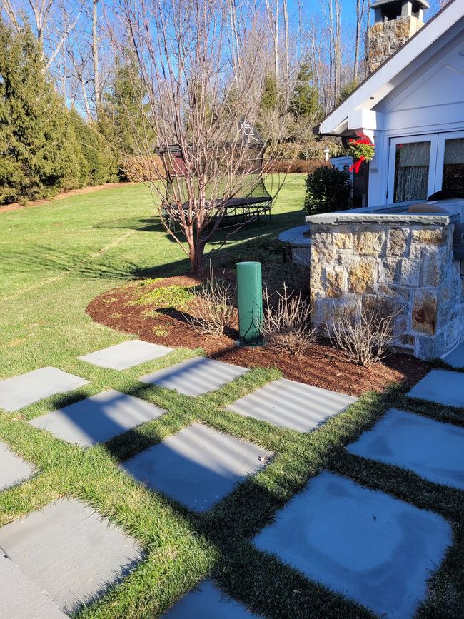 Backyard with stone stepping path, lawn, trees, and house corner in bright sunlight