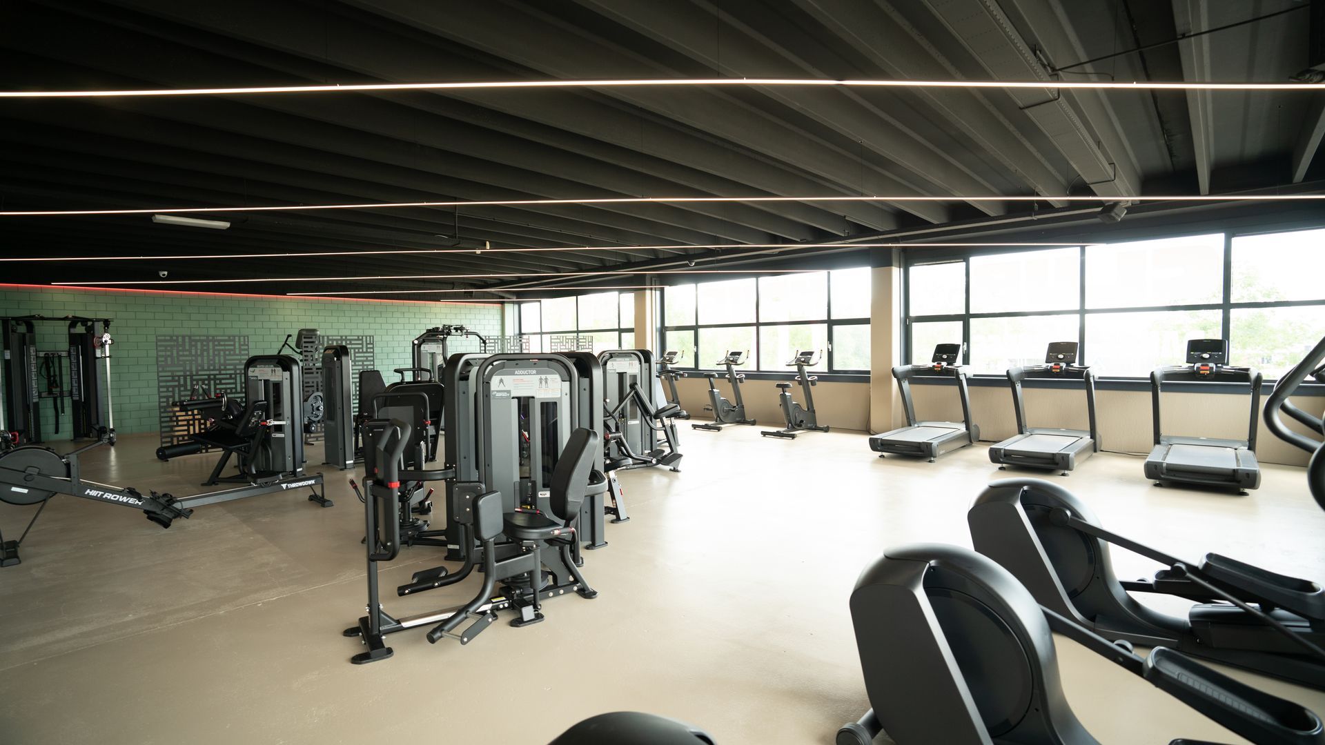 Een grote boom in een zwarte pot in een sportschool