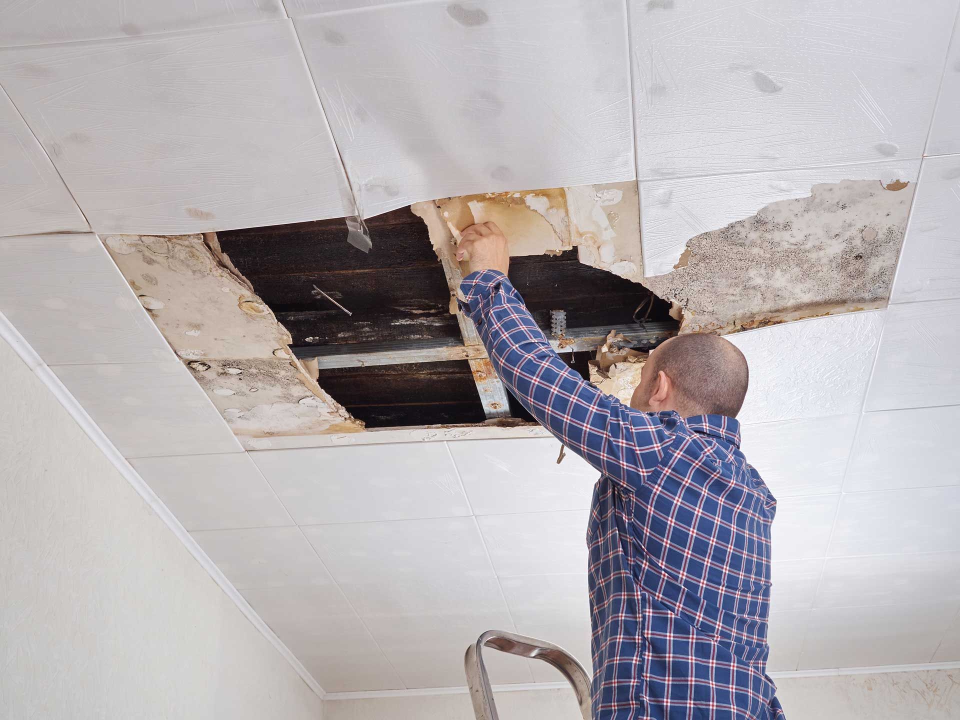 Man fixing a damaged ceiling tile while standing on a ladder in a room