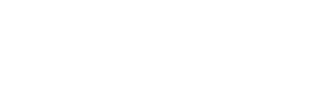 Blank white banner with a black horizontal line near the bottom