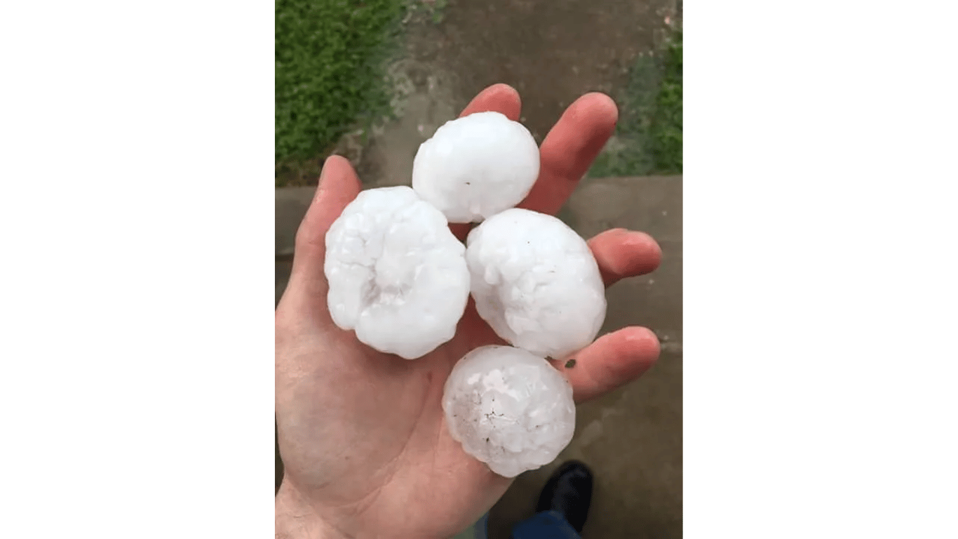 Hand holding five large white hailstones over a grassy background.