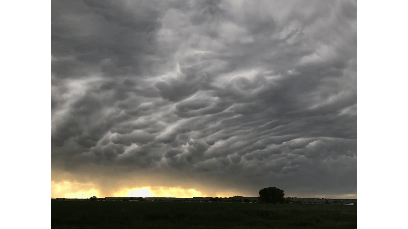 Dark storm clouds over a flat field at sunset, with a small tree on the horizon.