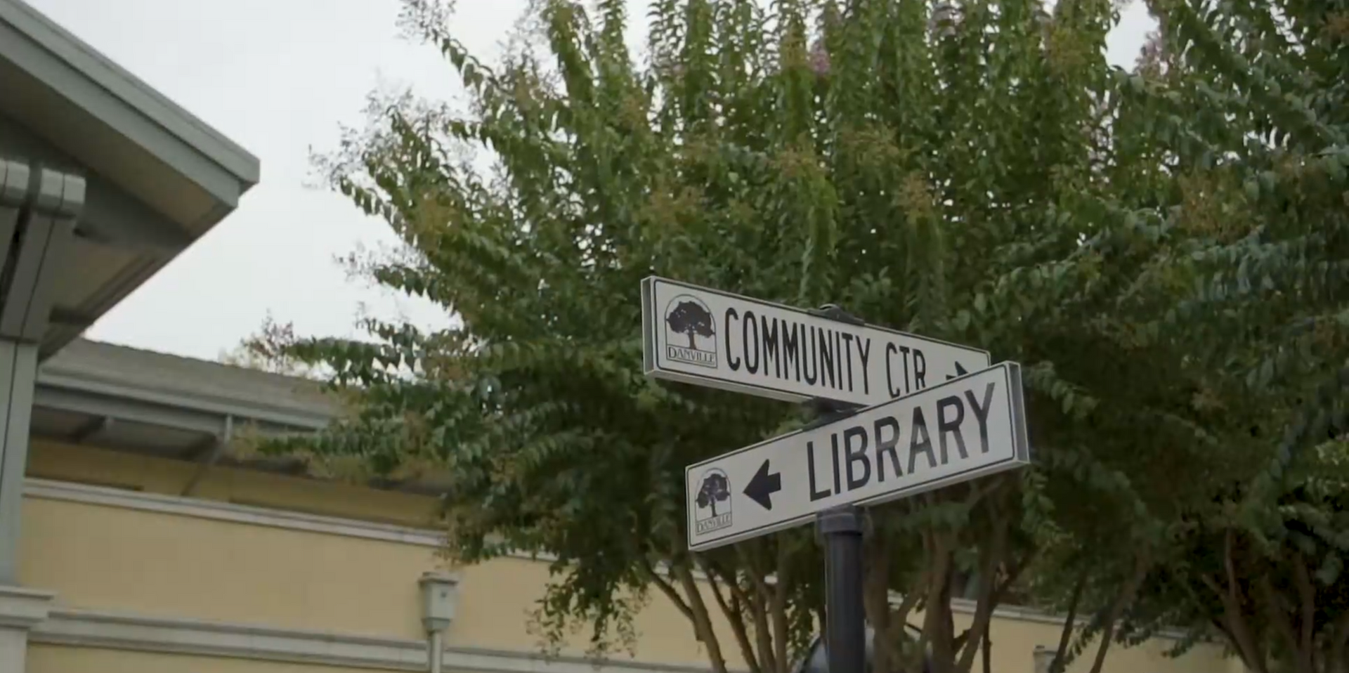 Street signs pointing to Contra Costa and Library beside a tree and building exterior