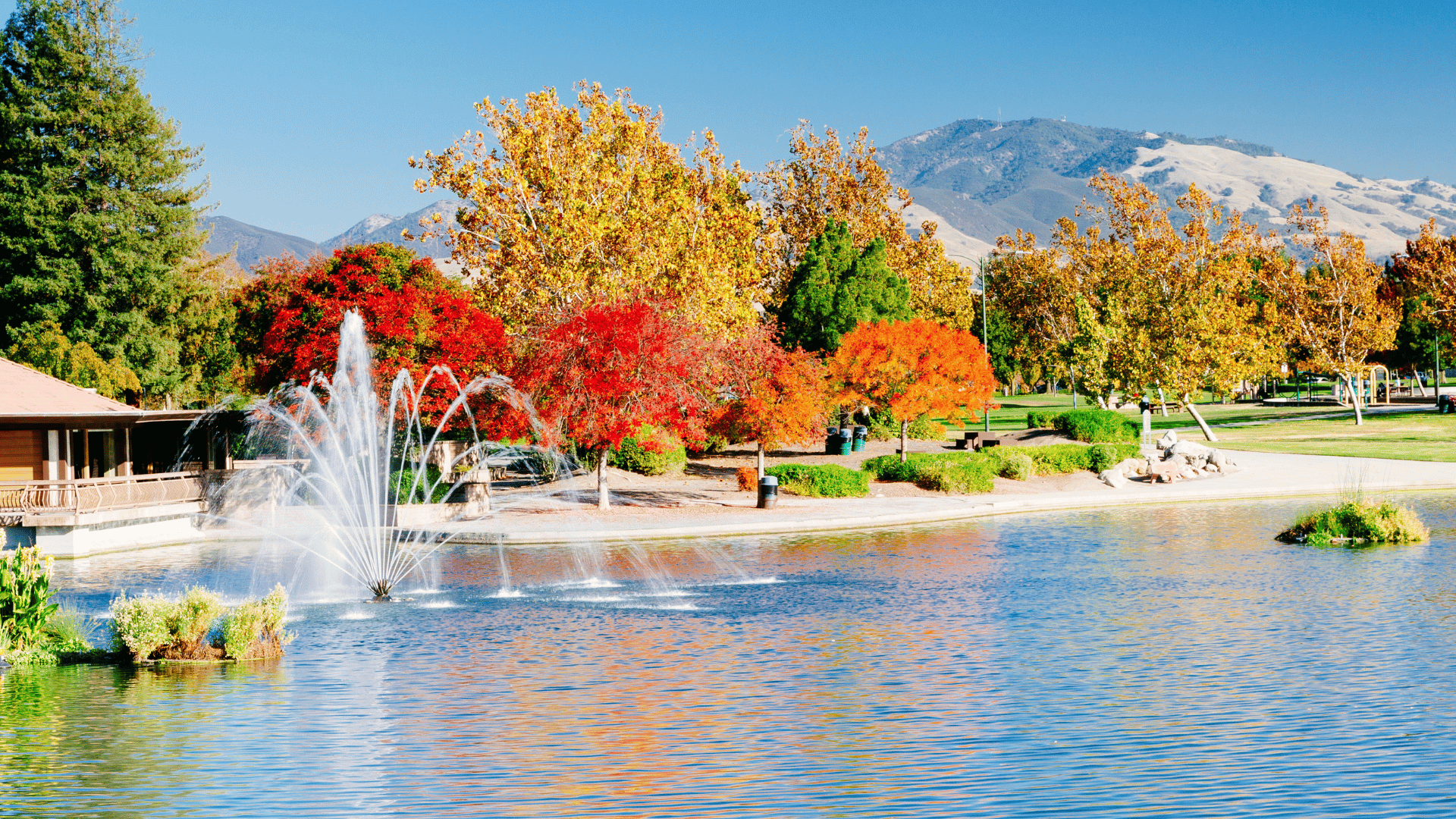 Walnut Creek