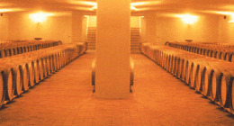 trattamento pavimenti, gallery 18