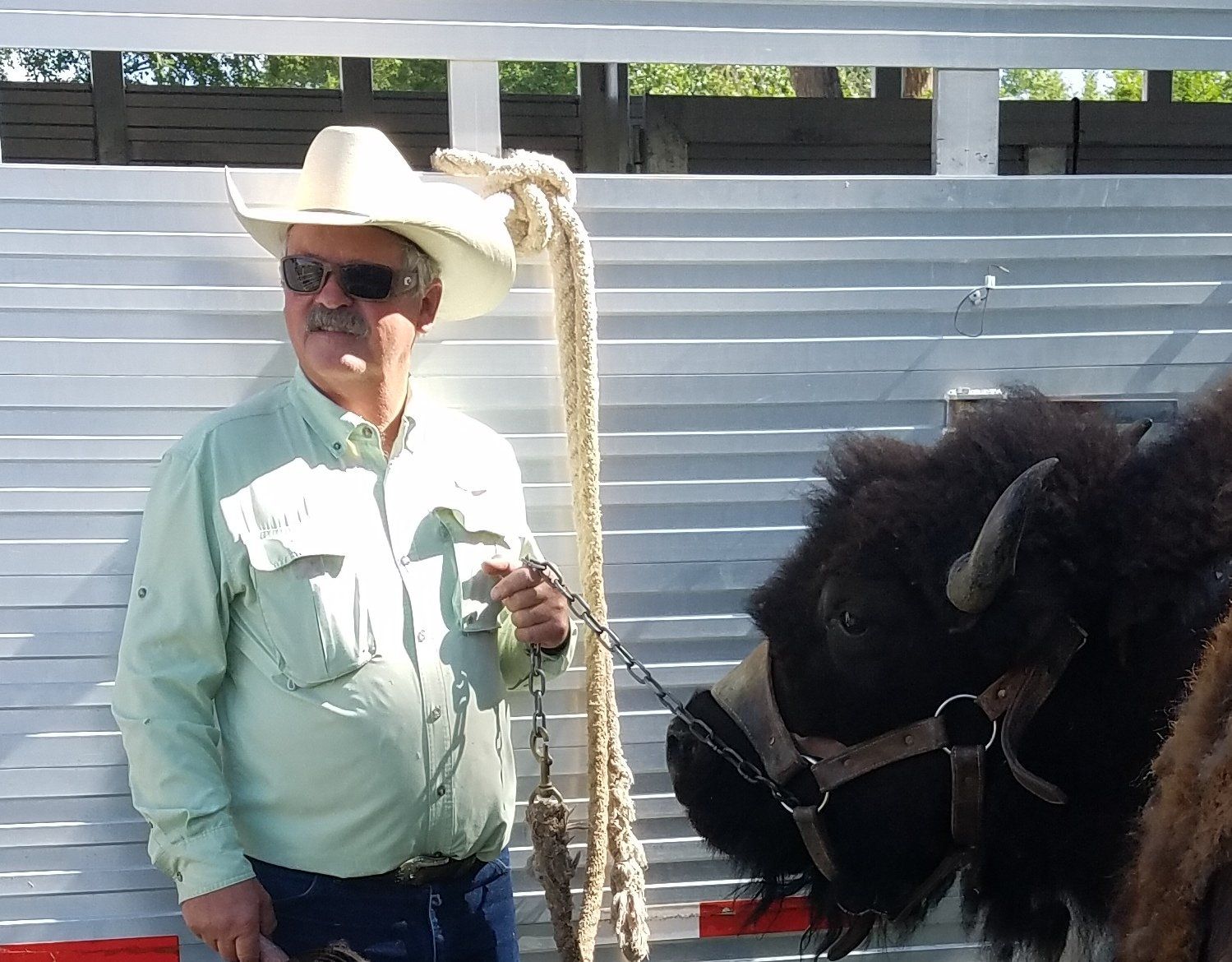 A man in a cowboy hat stands next to a bison