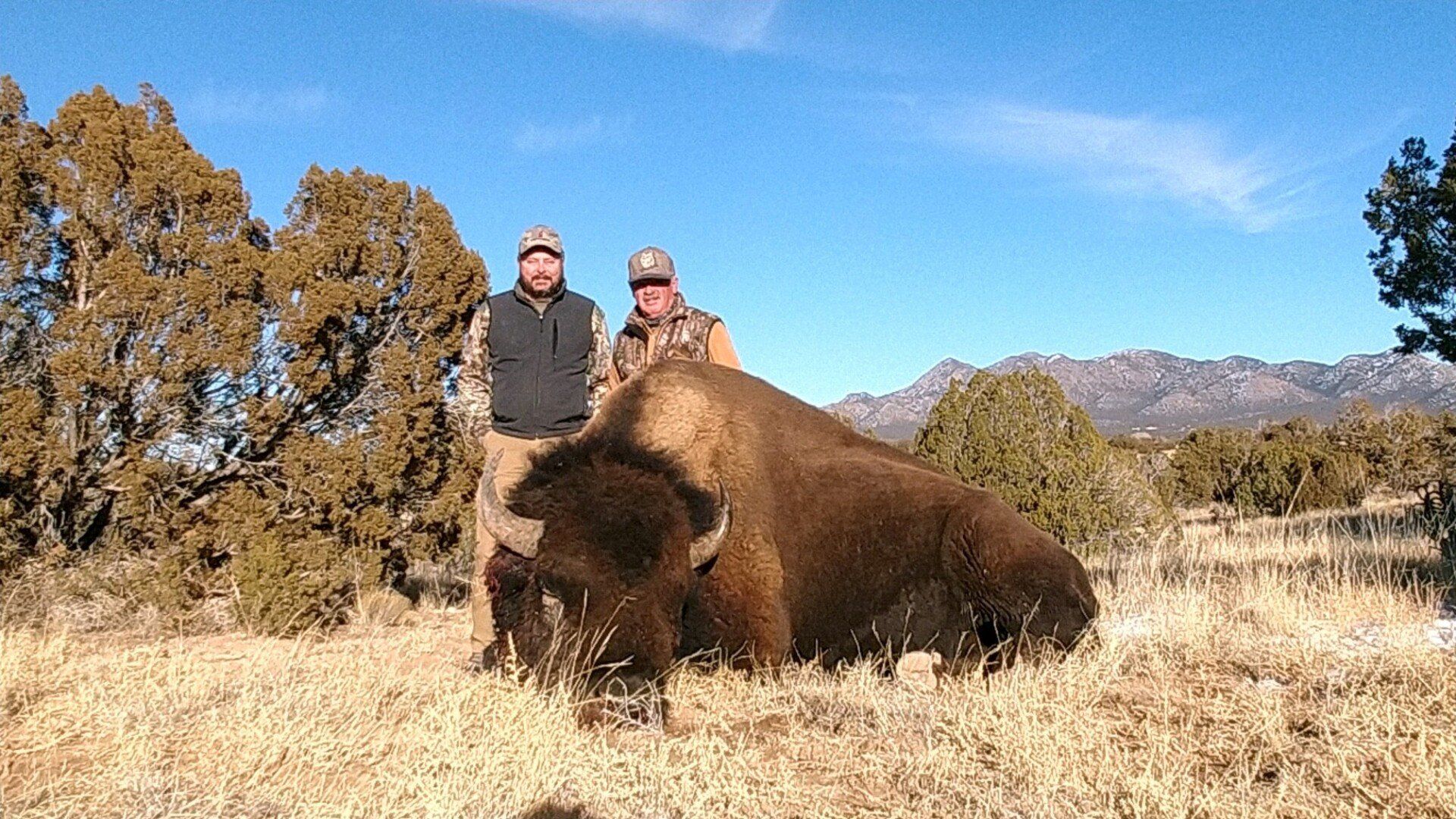 Two men standing next to a bison in a field