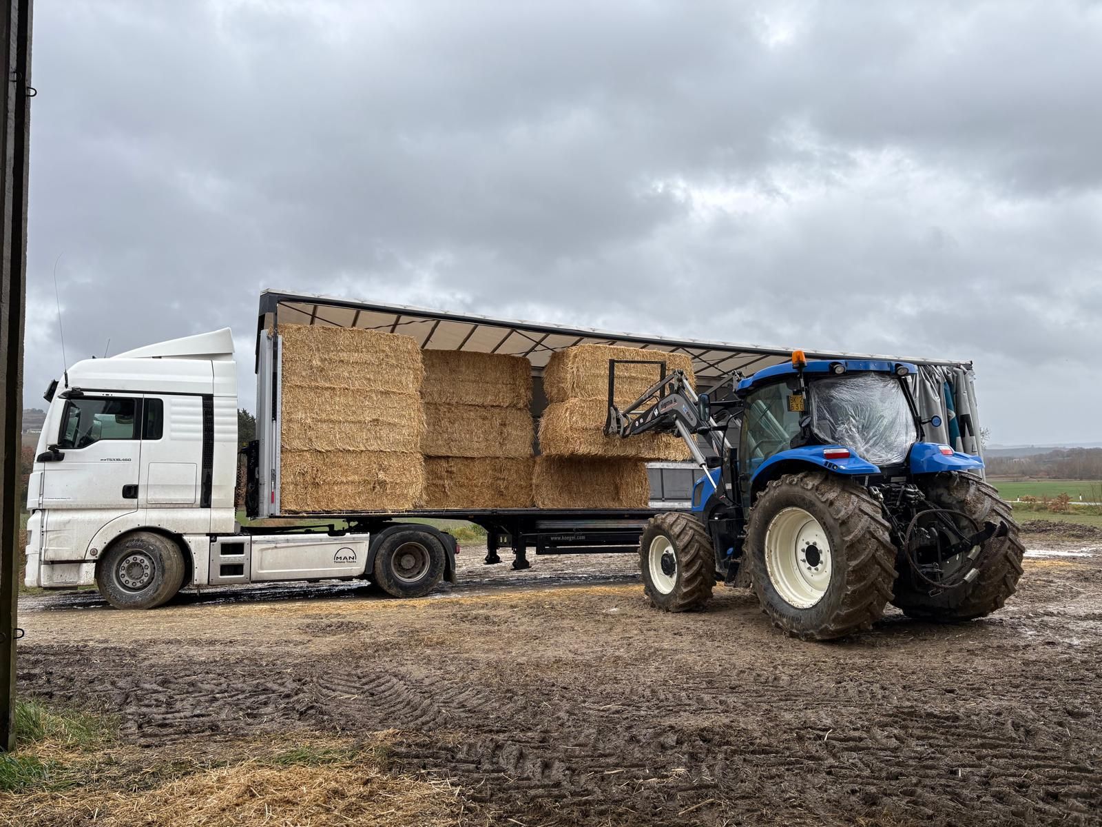 Un trattore blu scarica un grosso camion in un campo fangoso sotto un cielo nuvoloso.