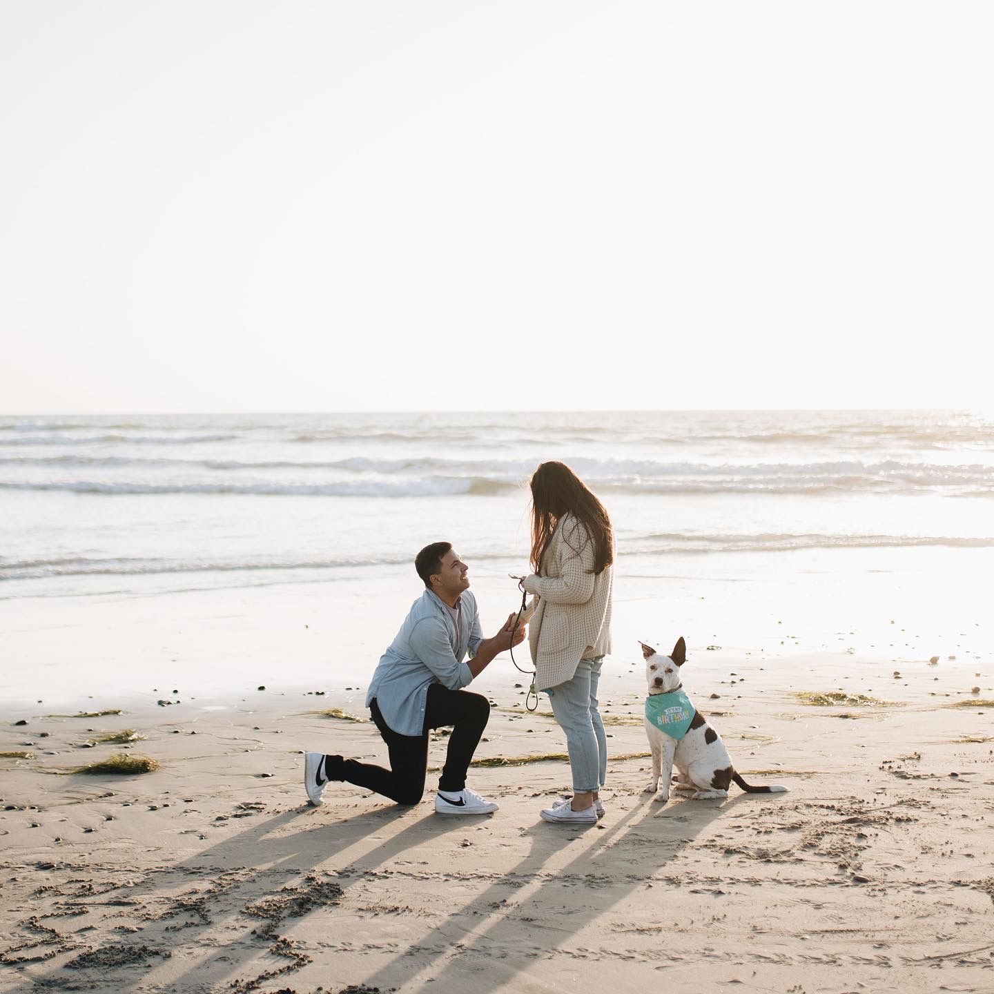 Man kneels on a beach, offering a ring to a woman beside a small dog in a turquoise vest.