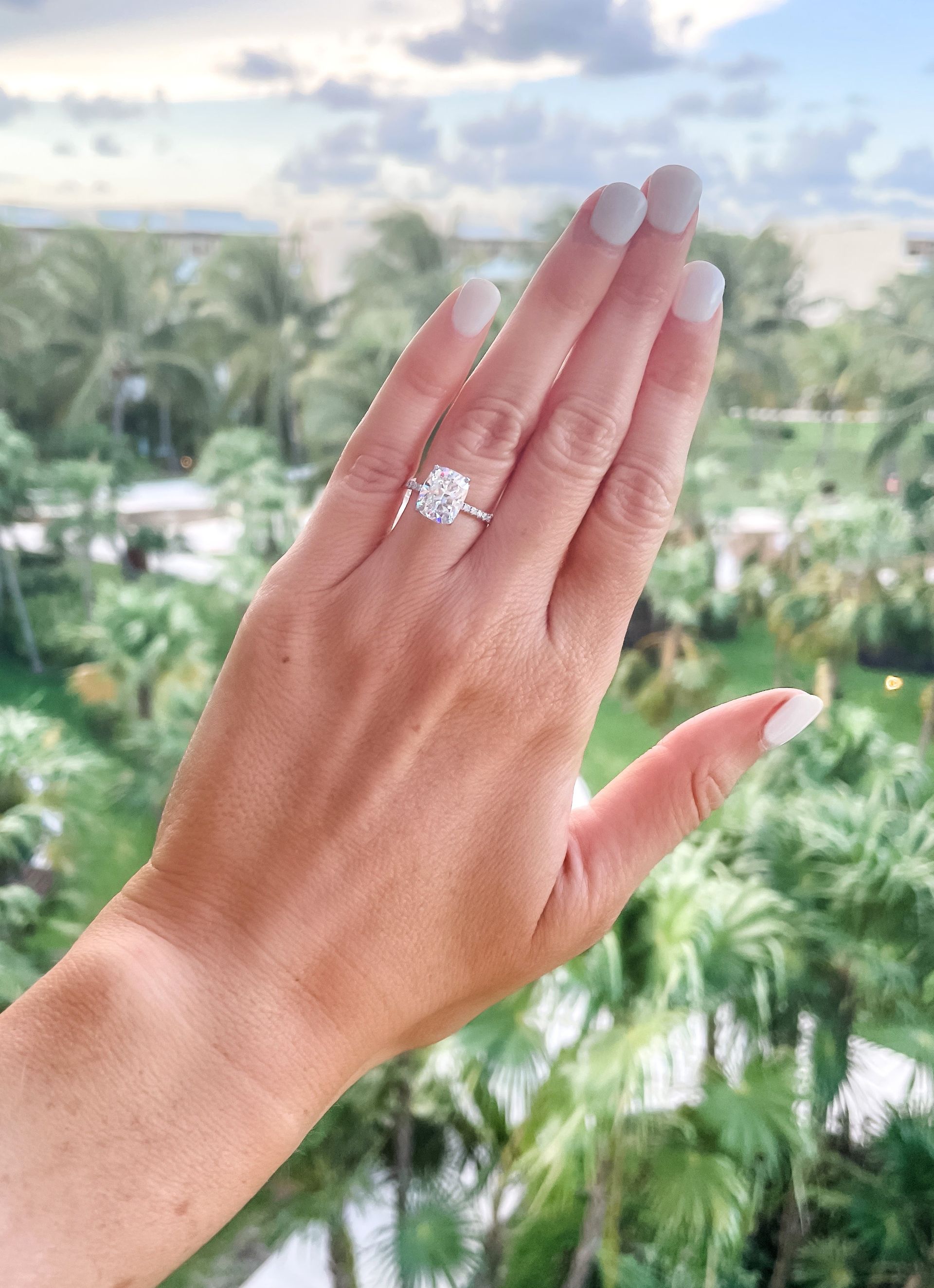 Hand with diamond ring held up against a blurred tropical palm landscape
