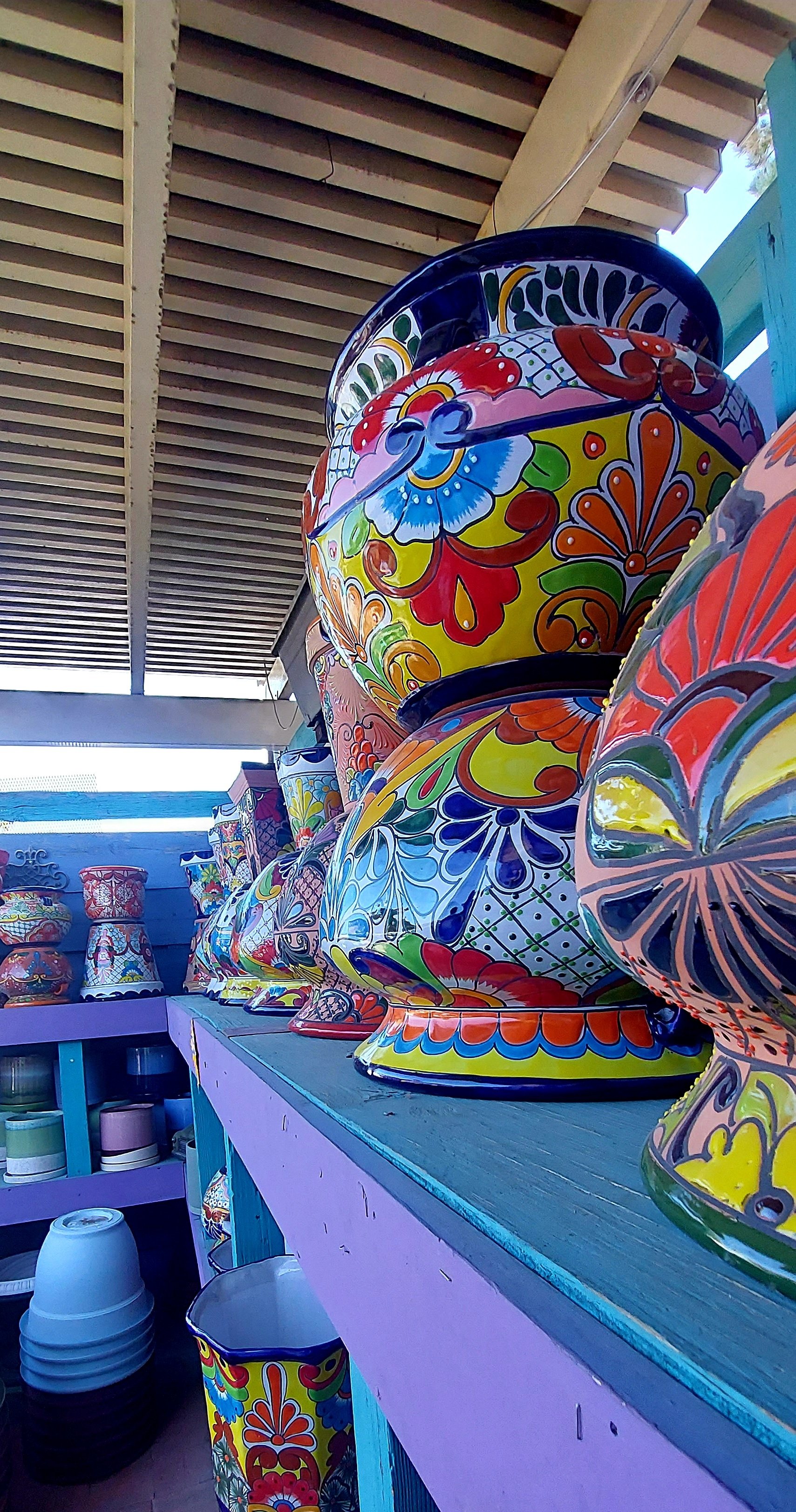 Garden Albuquerque,NM Rehm's Nursery and Garden Center