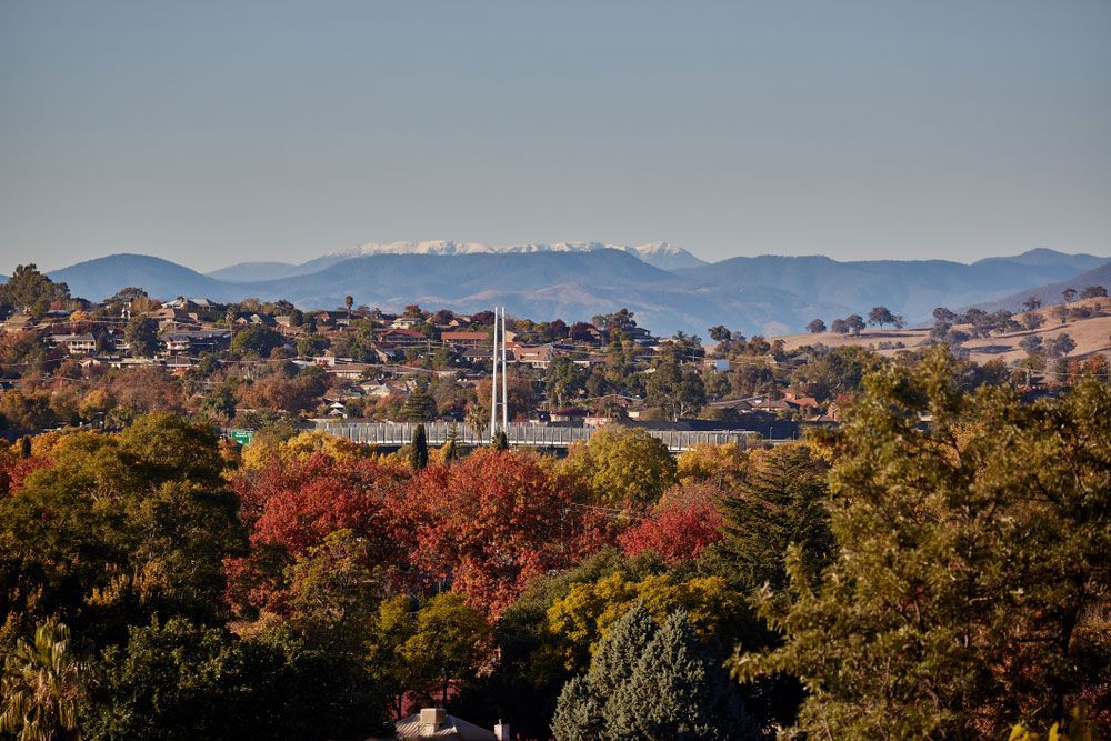 Albury City Scape — Ceely's Heavy Vehicle Driver Training & Assessments In Albury, NSW