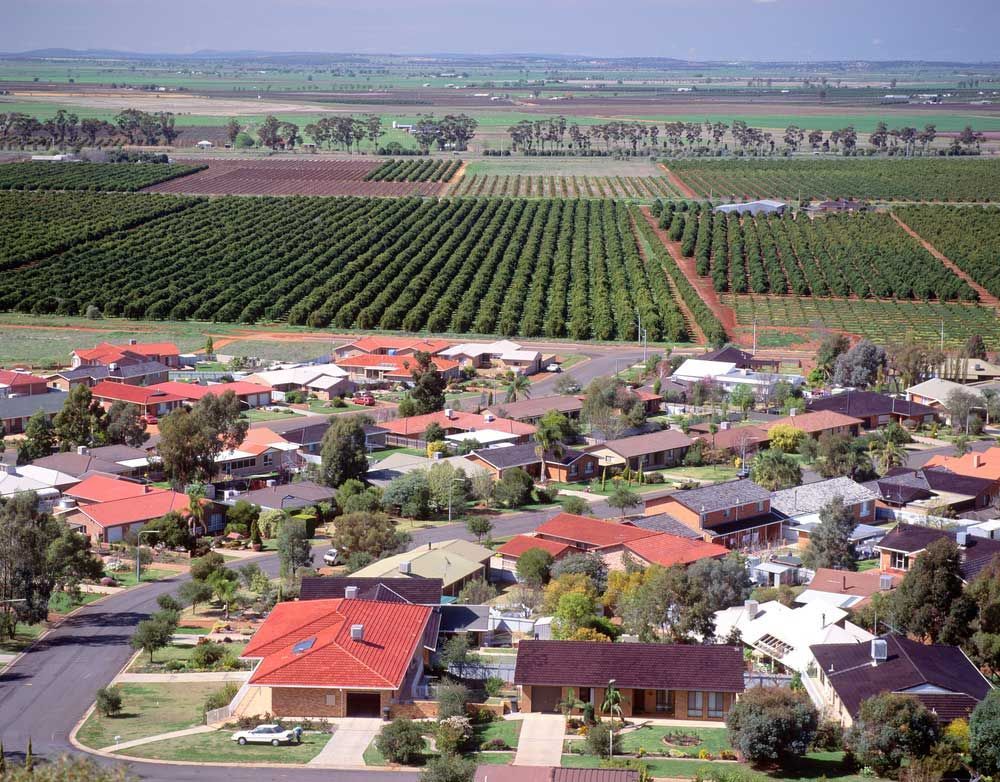 Fruit Orchards Near Griffith — Ceely's Heavy Vehicle Driver Training & Assessments In Griffith, NSW 