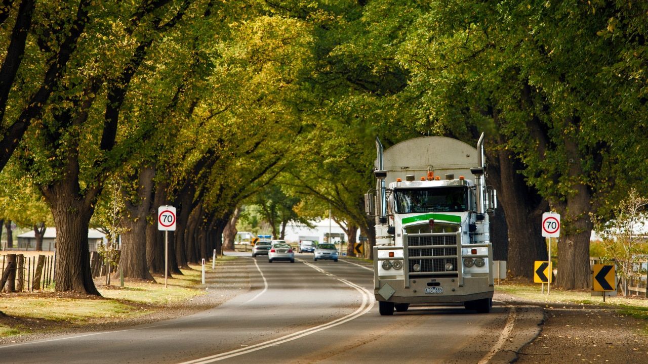 Truck on a Tree-lined Road — Ceely's Heavy Vehicle Driver Training & Assessments In Cowra, NSW