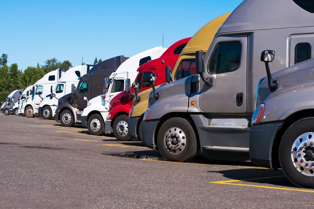 Semi Trucks of Different Colours — Ceely's Heavy Vehicle Driver Training & Assessments In Cowra, NSW