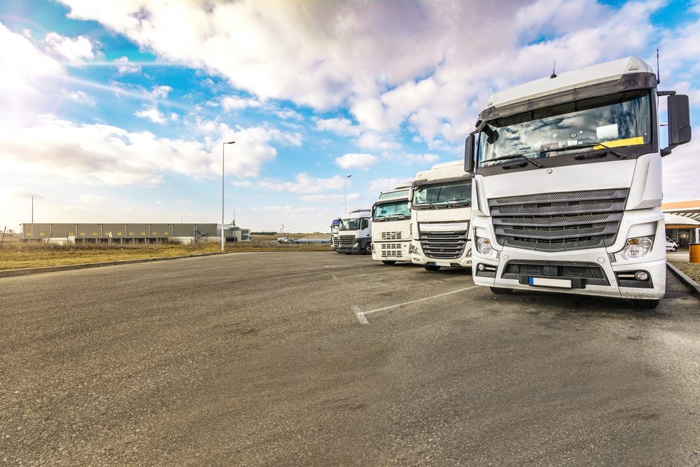 A Row of White Semi Trucks Parked — Ceely's Heavy Vehicle Driver Training & Assessments In Wagga Wagga, NSW 