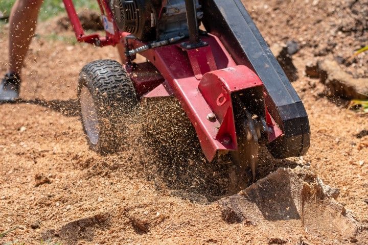 Red stump grinder removing a tree stump, spraying wood chips in a dirt setting.