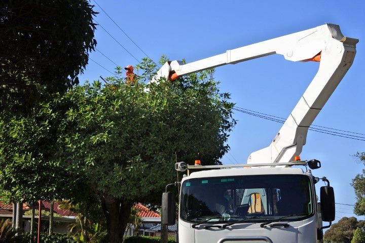 A white bucket truck trimming tree branches near power lines on a sunny day.