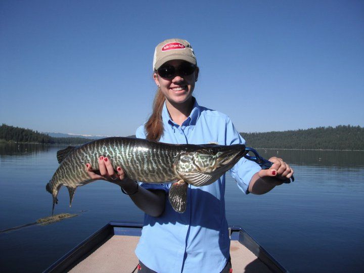 Fly Fish McCall Gallery Image