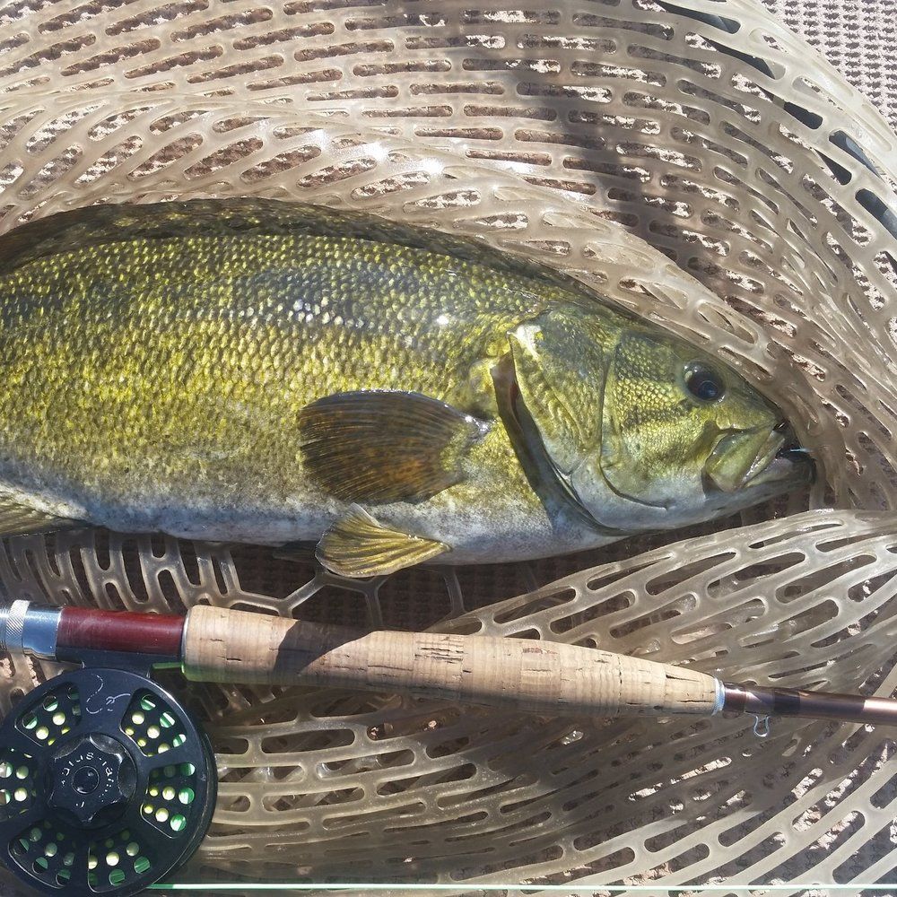 Fly Fish McCall Gallery Image