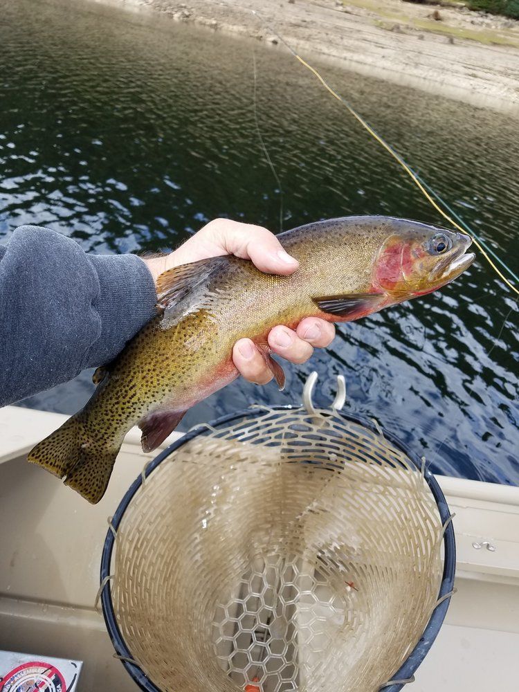Fly Fish McCall Gallery Image