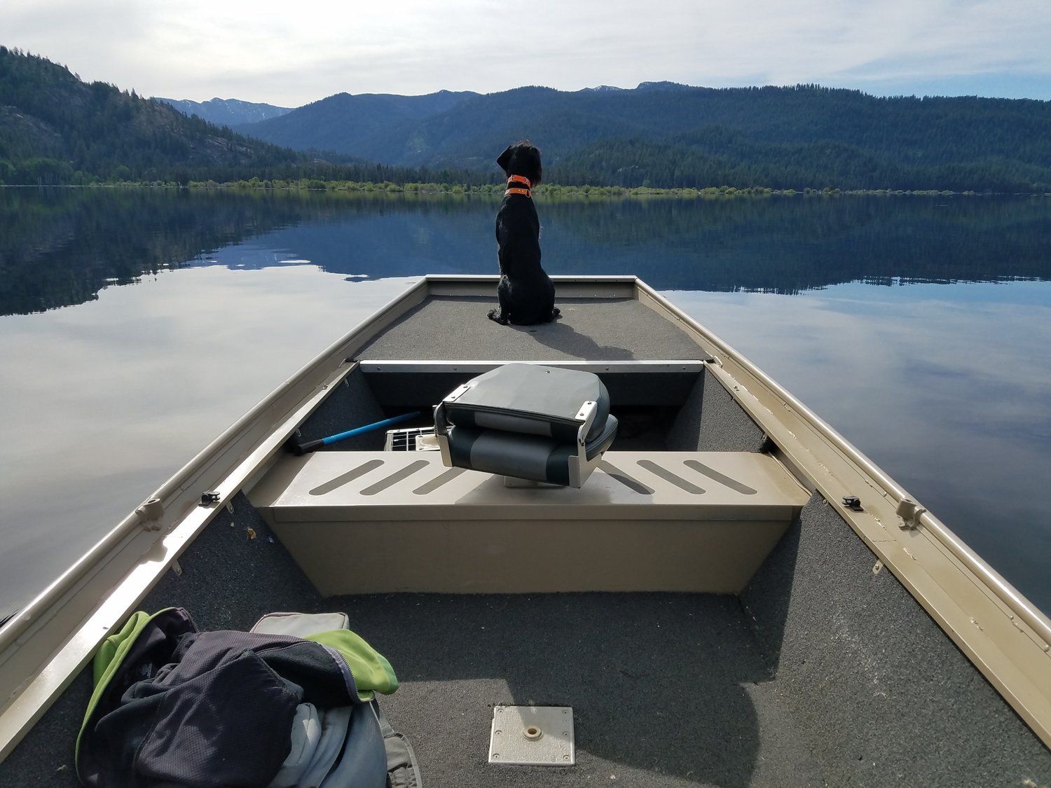 Fly Fish McCall Gallery Image