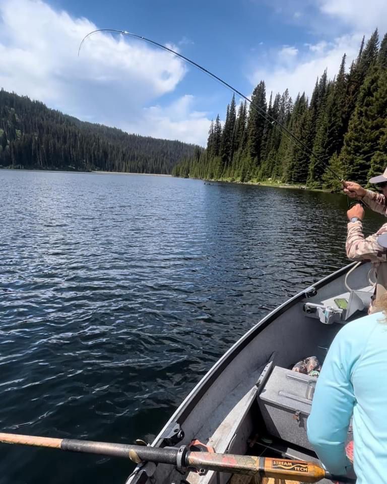 Fly Fish McCall Gallery Image