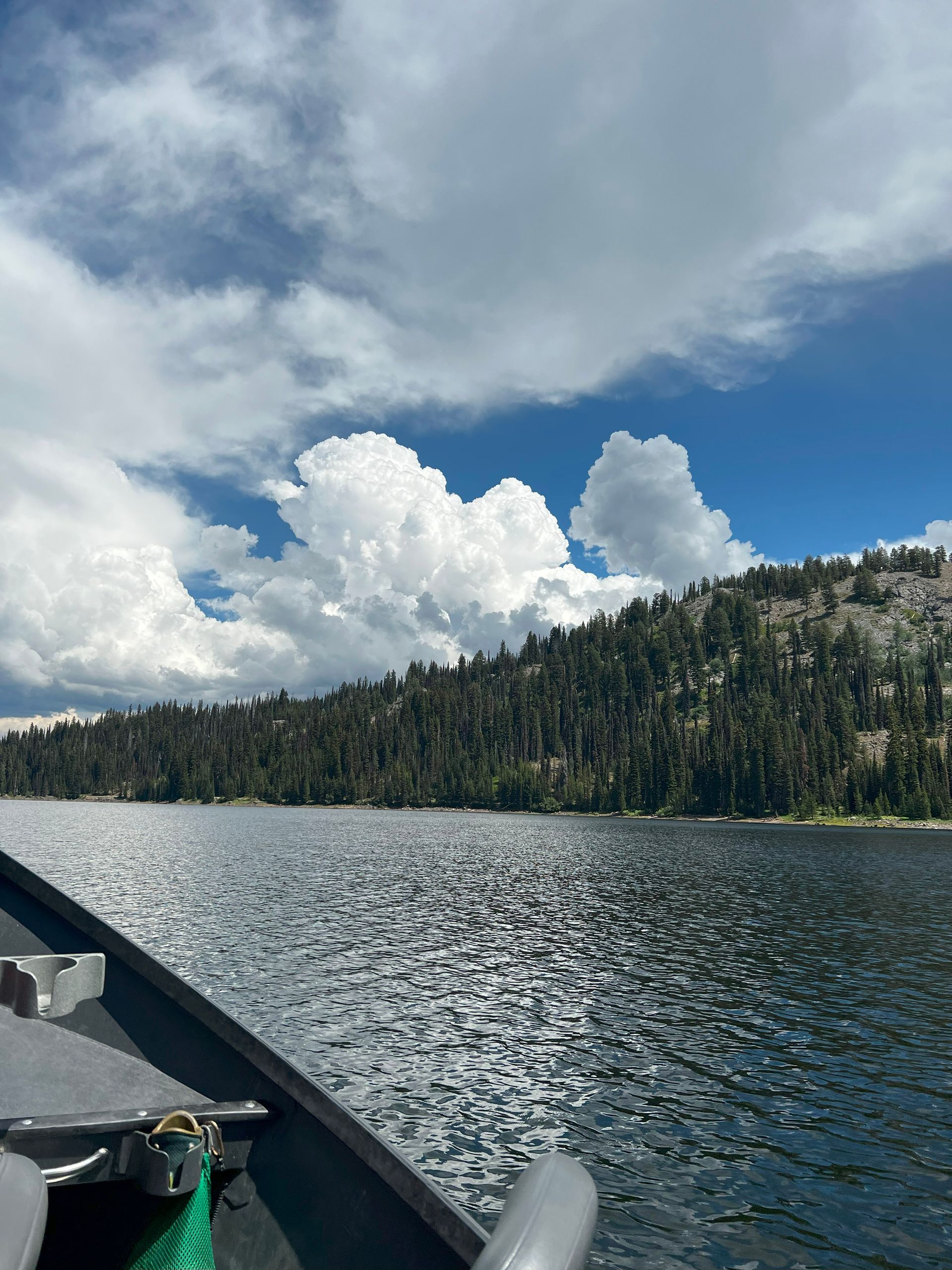 Fly Fish McCall Gallery Image