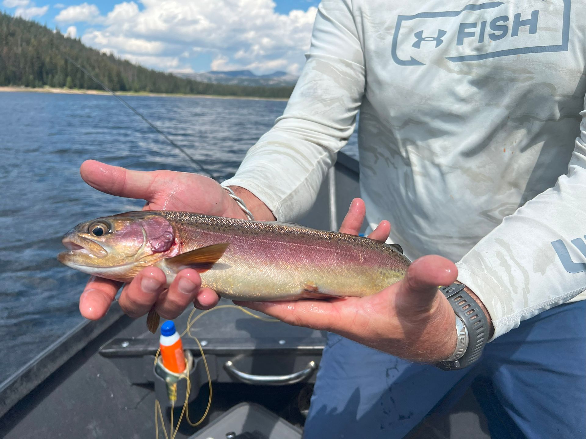 Fly Fish McCall Gallery Image