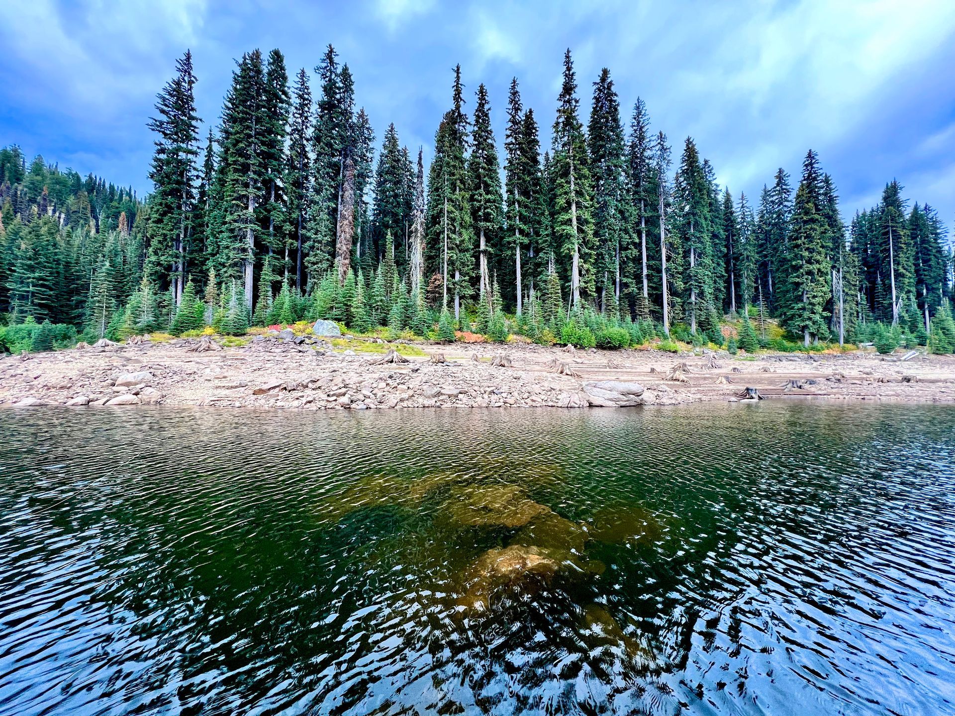 Fly Fish McCall Gallery Image