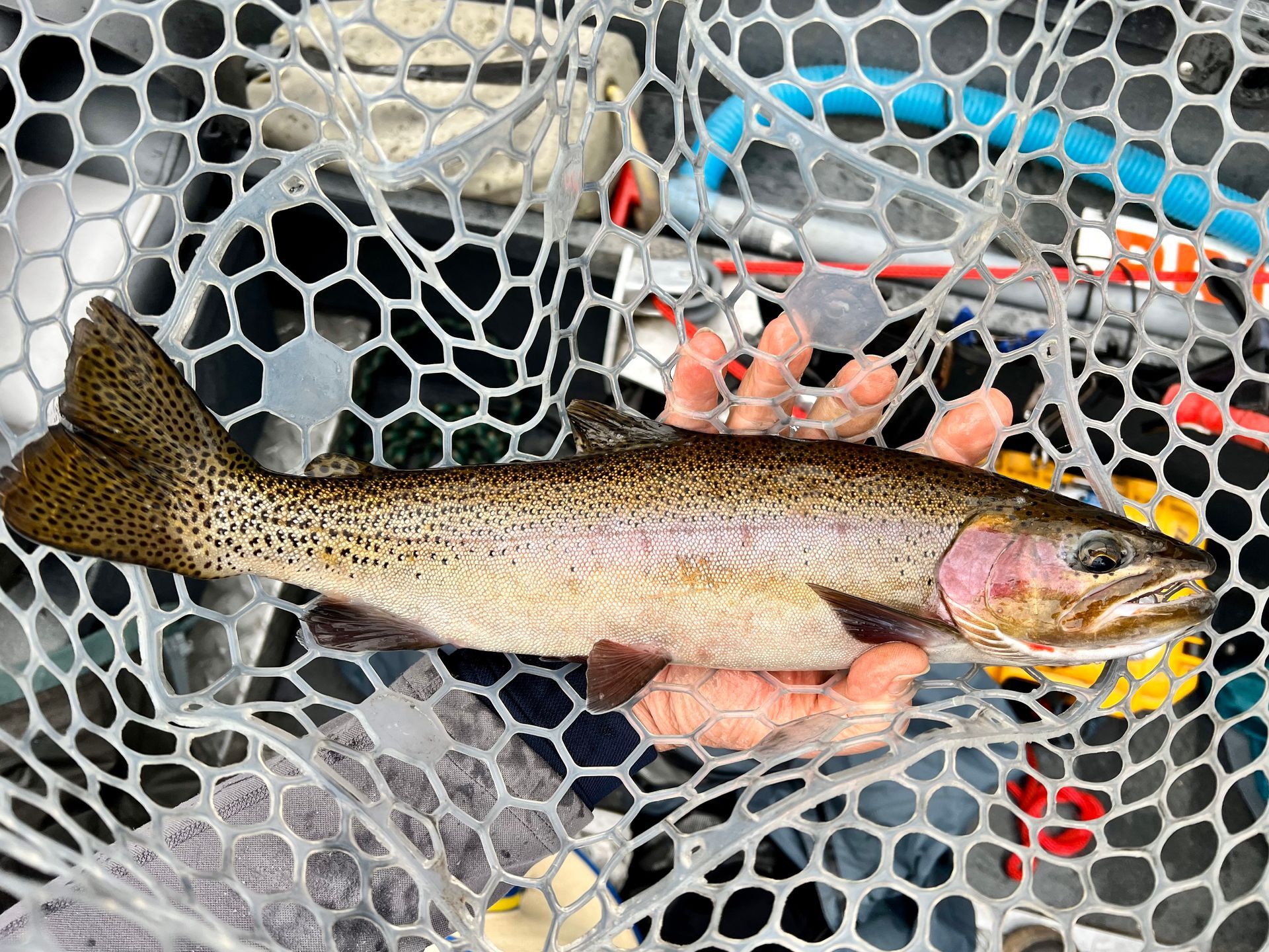 Fly Fish McCall Gallery Image