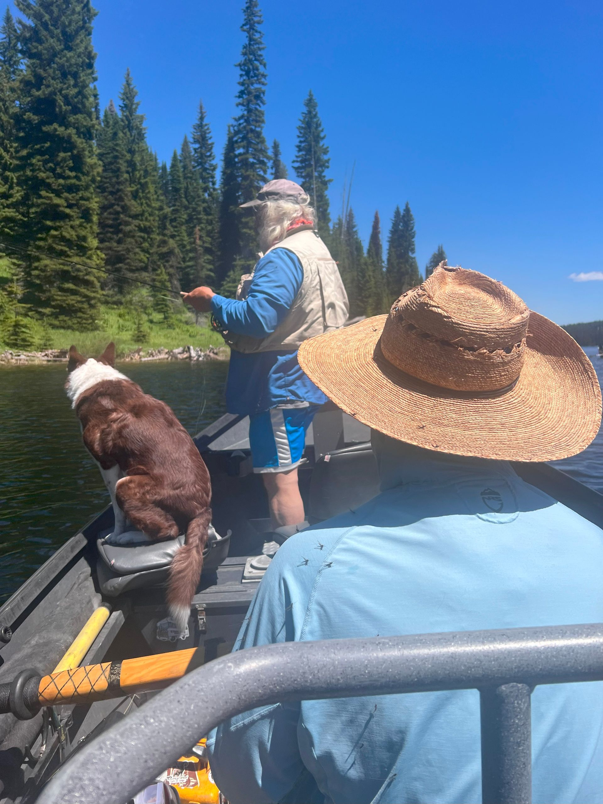 Fly Fish McCall Gallery Image
