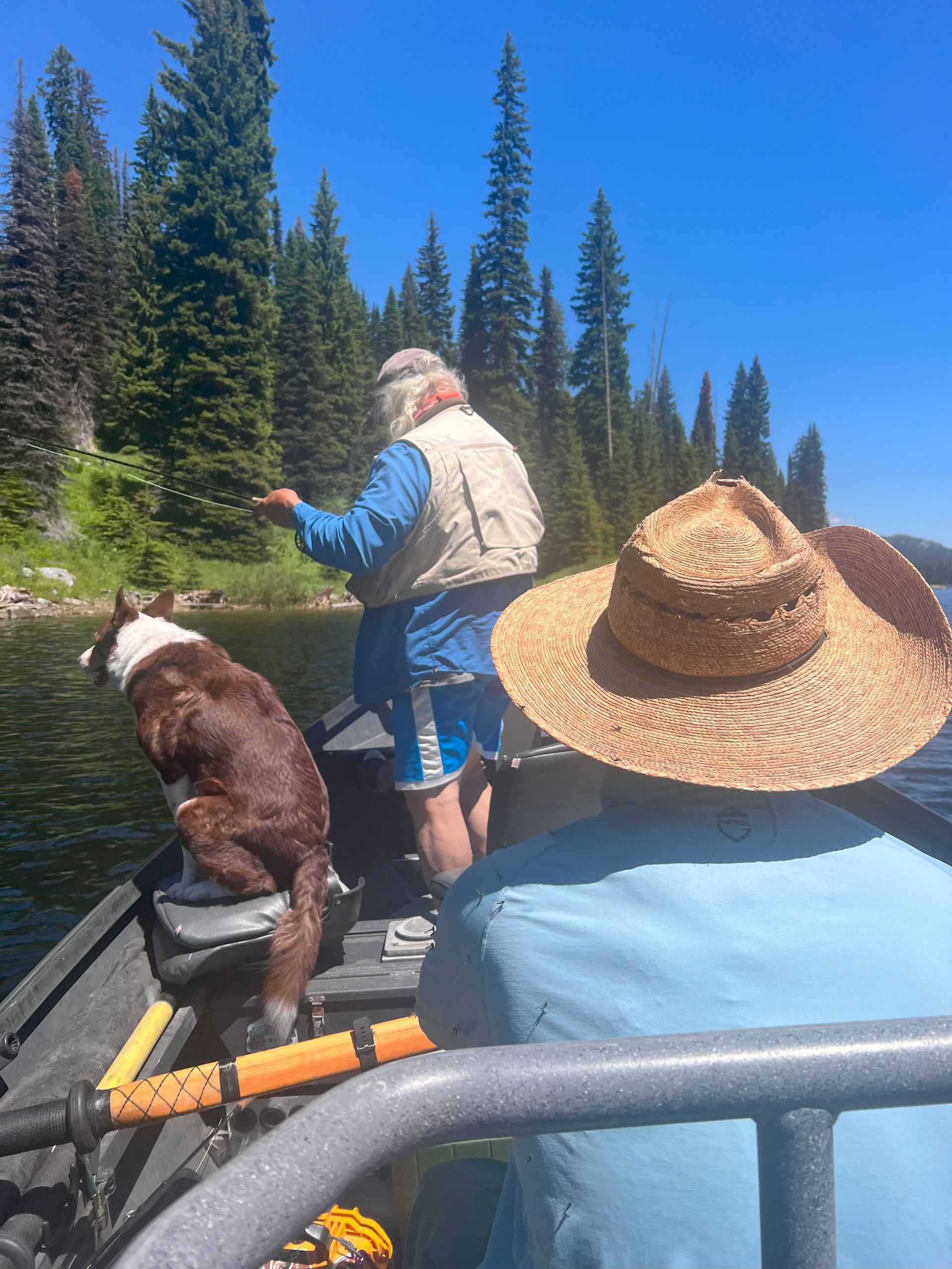 Fly Fish McCall Gallery Image