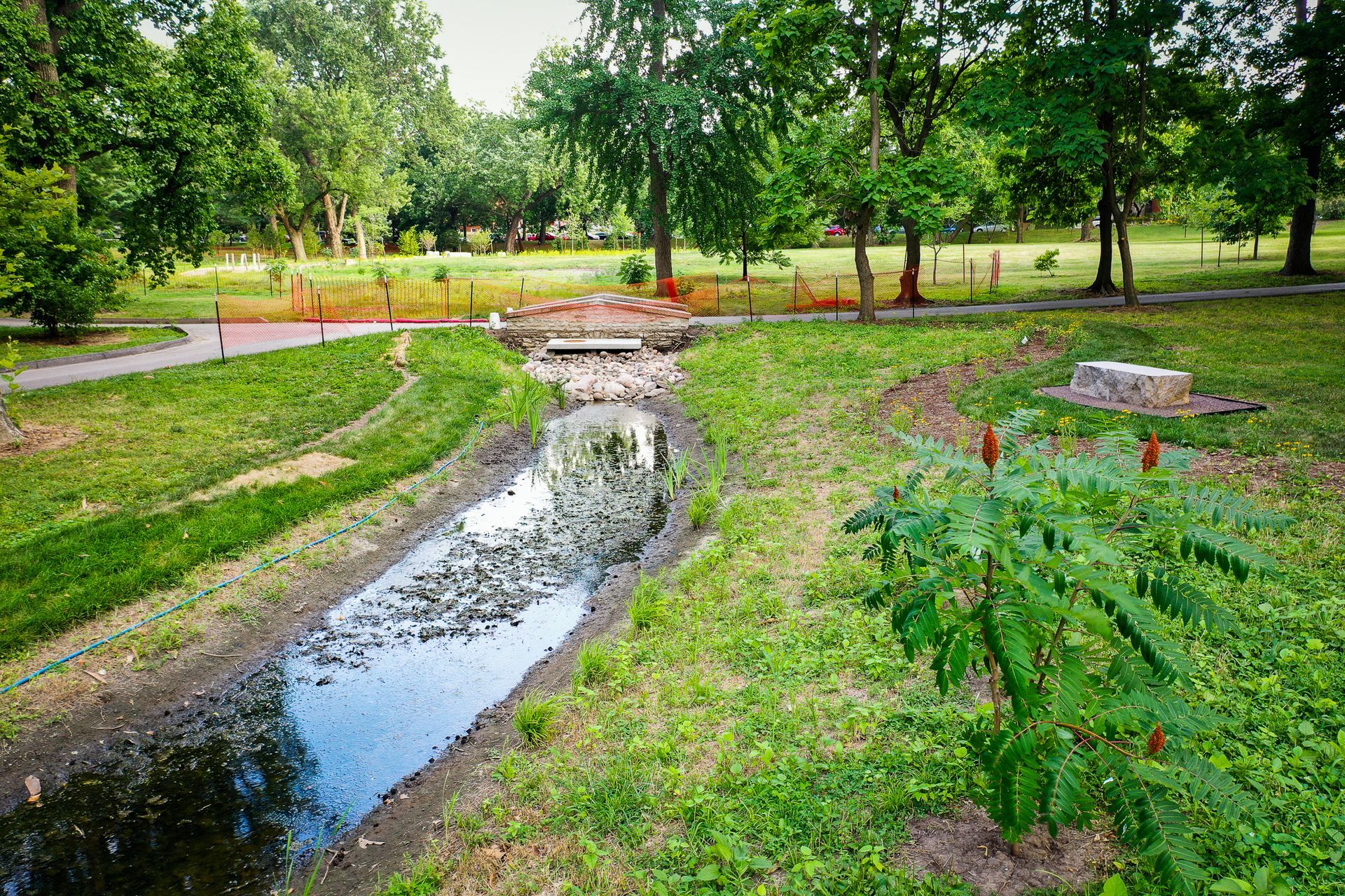 Tower Grove Park