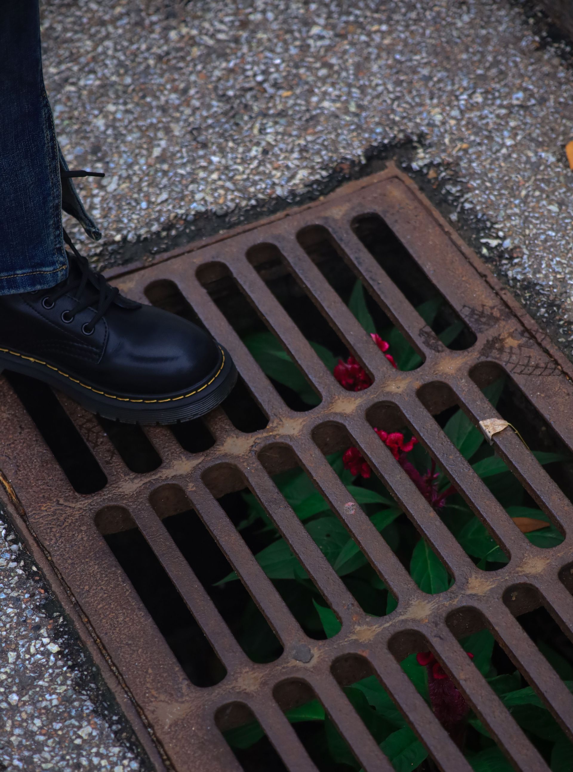 Boot beside a rusty storm drain grate on wet pavement
