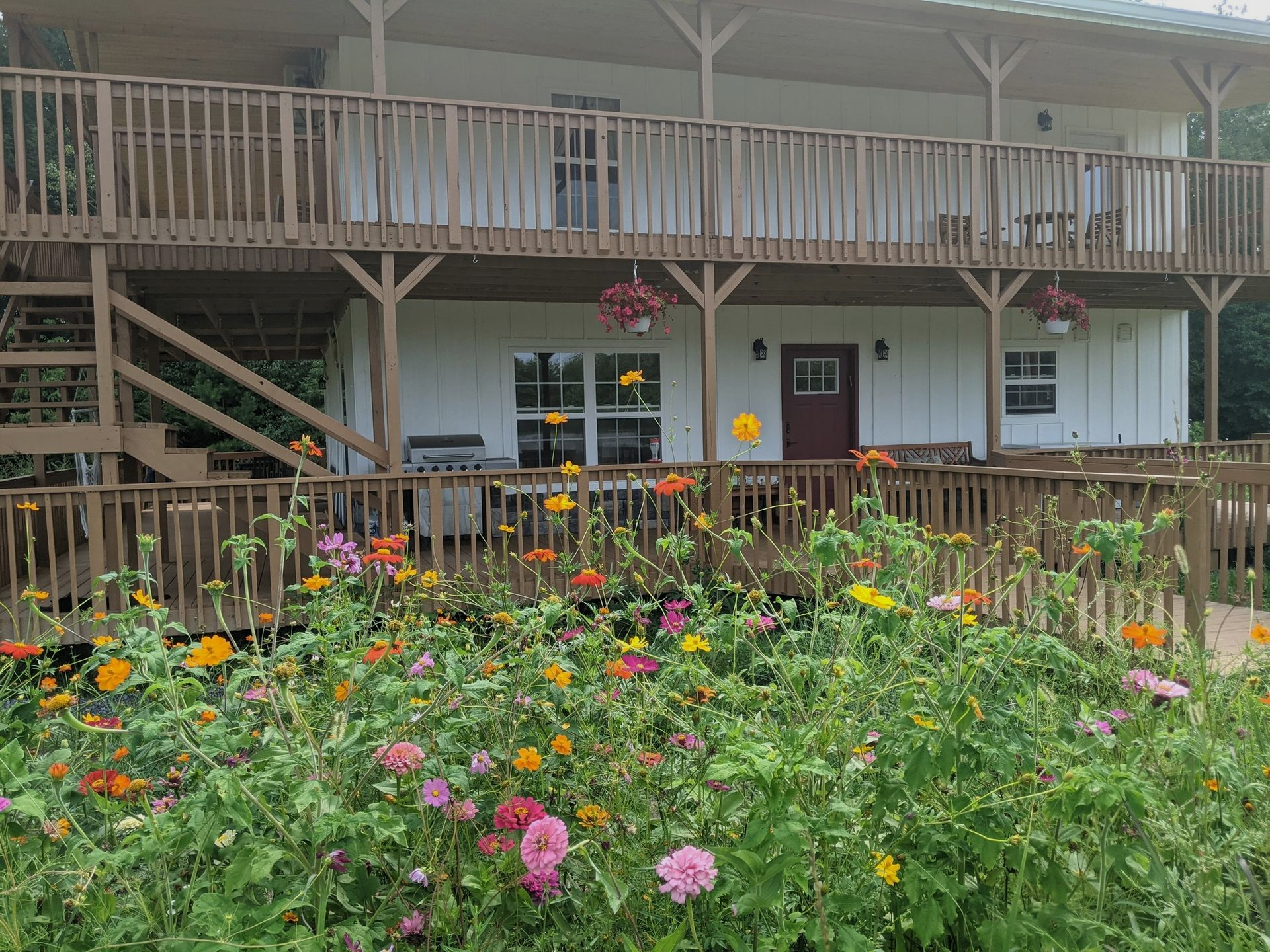 A two-story white building with a wooden porch and deck behind a vibrant garden of colorful flowers.